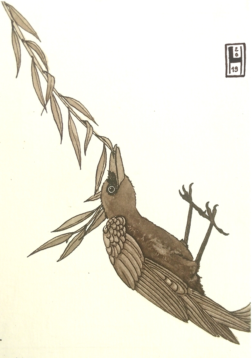 a crow swinging on a long branch of weeping willow by its beak, titled swing, drawn with ink